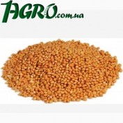 1agro.com.ua