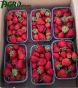 1agro.com.ua
