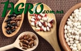 1agro.com.ua