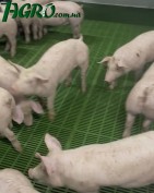 1agro.com.ua