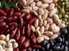 1agro.com.ua