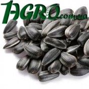 1agro.com.ua