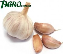 1agro.com.ua