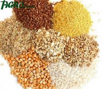 1agro.com.ua
