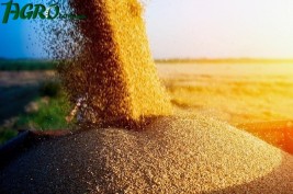 1agro.com.ua