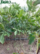 1agro.com.ua
