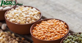 1agro.com.ua