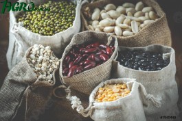 1agro.com.ua