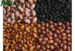 1agro.com.ua