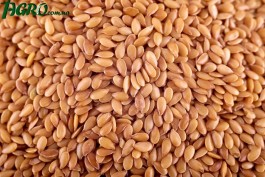 1agro.com.ua