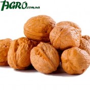 1agro.com.ua