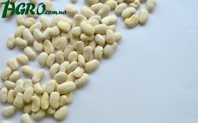 1agro.com.ua