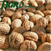 1agro.com.ua