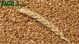 1agro.com.ua