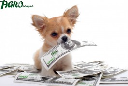 1agro.com.ua