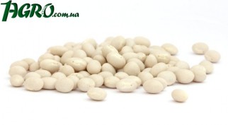 1agro.com.ua