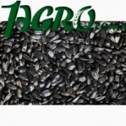 1agro.com.ua
