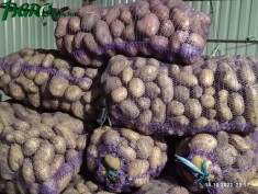 1agro.com.ua