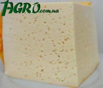 1agro.com.ua