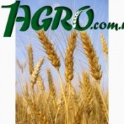 1agro.com.ua