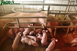 1agro.com.ua