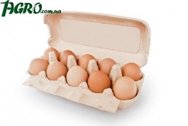 1agro.com.ua