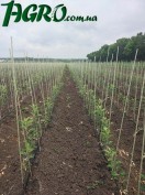 1agro.com.ua
