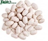 1agro.com.ua