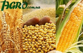 1agro.com.ua