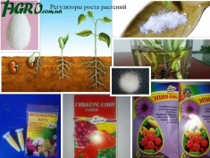 1agro.com.ua