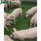 1agro.com.ua