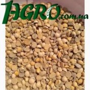 1agro.com.ua
