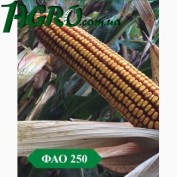 1agro.com.ua