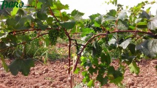 1agro.com.ua
