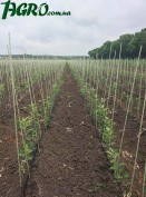 1agro.com.ua