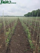 1agro.com.ua