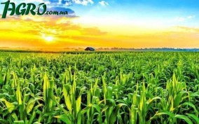 1agro.com.ua