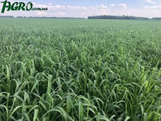 1agro.com.ua