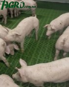 1agro.com.ua