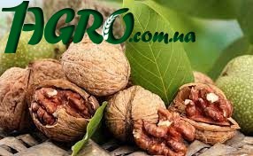 1agro.com.ua
