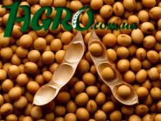 1agro.com.ua