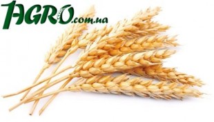 1agro.com.ua