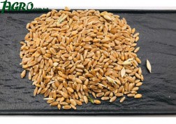 1agro.com.ua