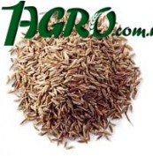 1agro.com.ua