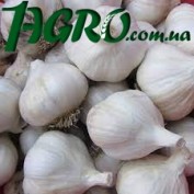 1agro.com.ua