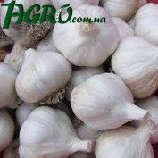 1agro.com.ua