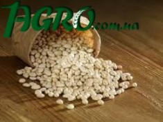 1agro.com.ua