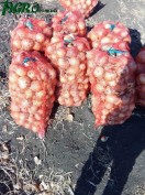 1agro.com.ua