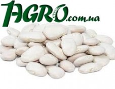 1agro.com.ua