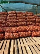 1agro.com.ua